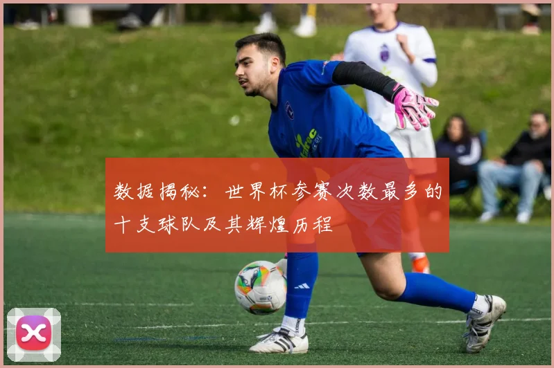 数据揭秘：世界杯参赛次数最多的十支球队及其辉煌历程