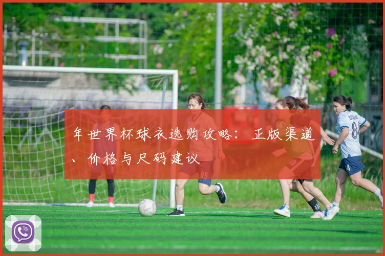 年世界杯球衣选购攻略：正版渠道、价格与尺码建议